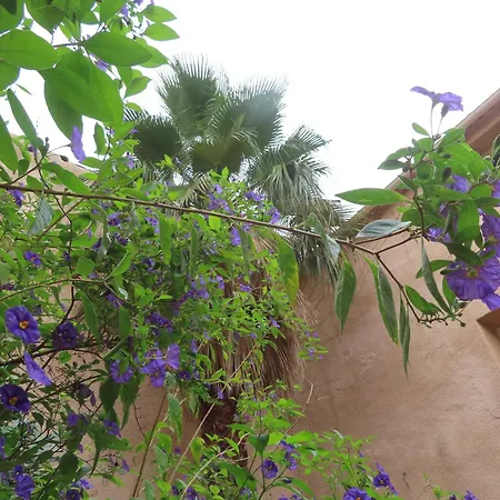 Grande Maison Art Nouveau Entre & Garrigue, Charme Et Loisirs Au Coeur Du Sud *