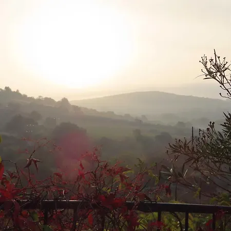 Grande Maison Art Nouveau Entre & Garrigue, Charme Et Loisirs Au Coeur Du Sud Сasa de vacaciones