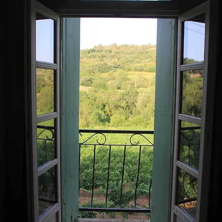 Grande Maison Art Nouveau Entre & Garrigue, Charme Et Loisirs Au Coeur Du Sud *