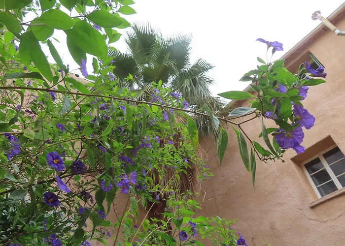 Grande Maison Art Nouveau Entre & Garrigue, Charme Et Loisirs Au Coeur Du Sud *