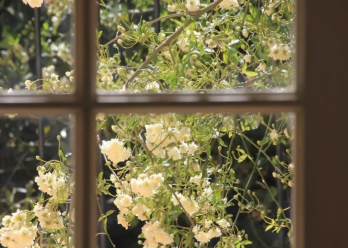 Grande Maison Art Nouveau Entre & Garrigue, Charme Et Loisirs Au Coeur Du Sud * Gabian